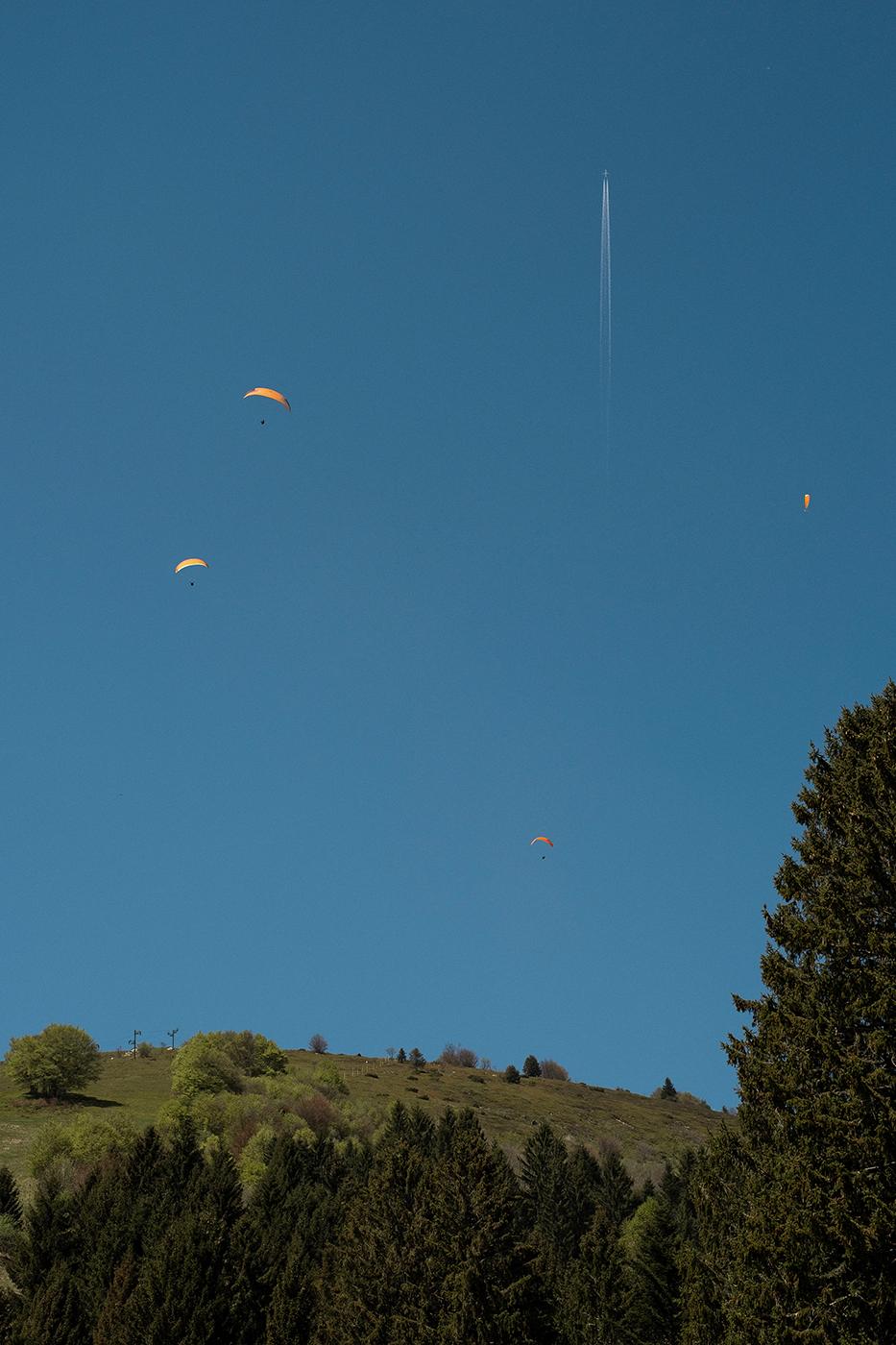 Transhumance alsacienne pour le journal Libération