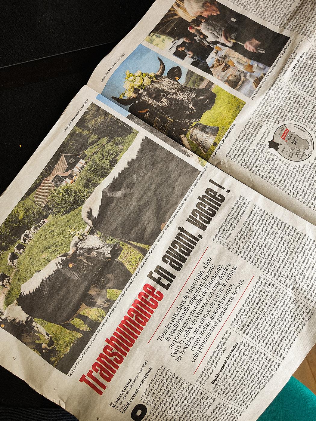 Transhumance alsacienne pour le journal Libération